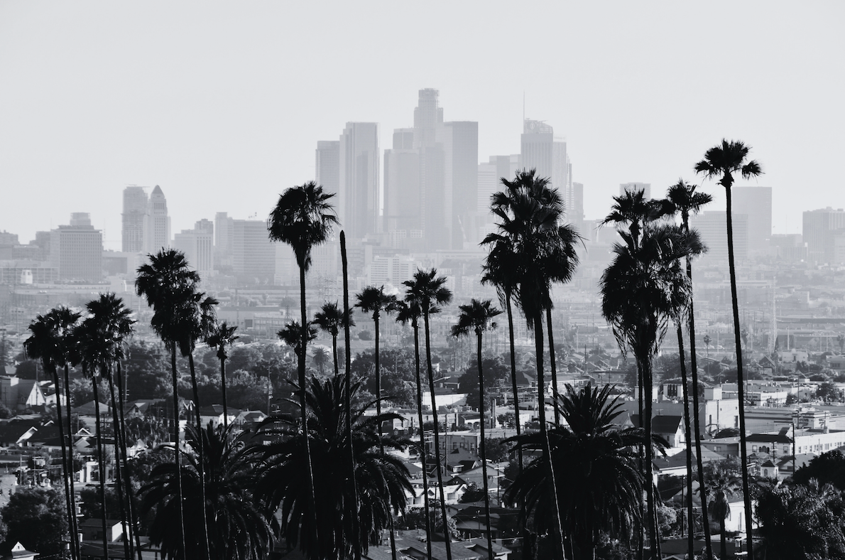 Palm trees in the foreground with a hazy California city skyline in the background.