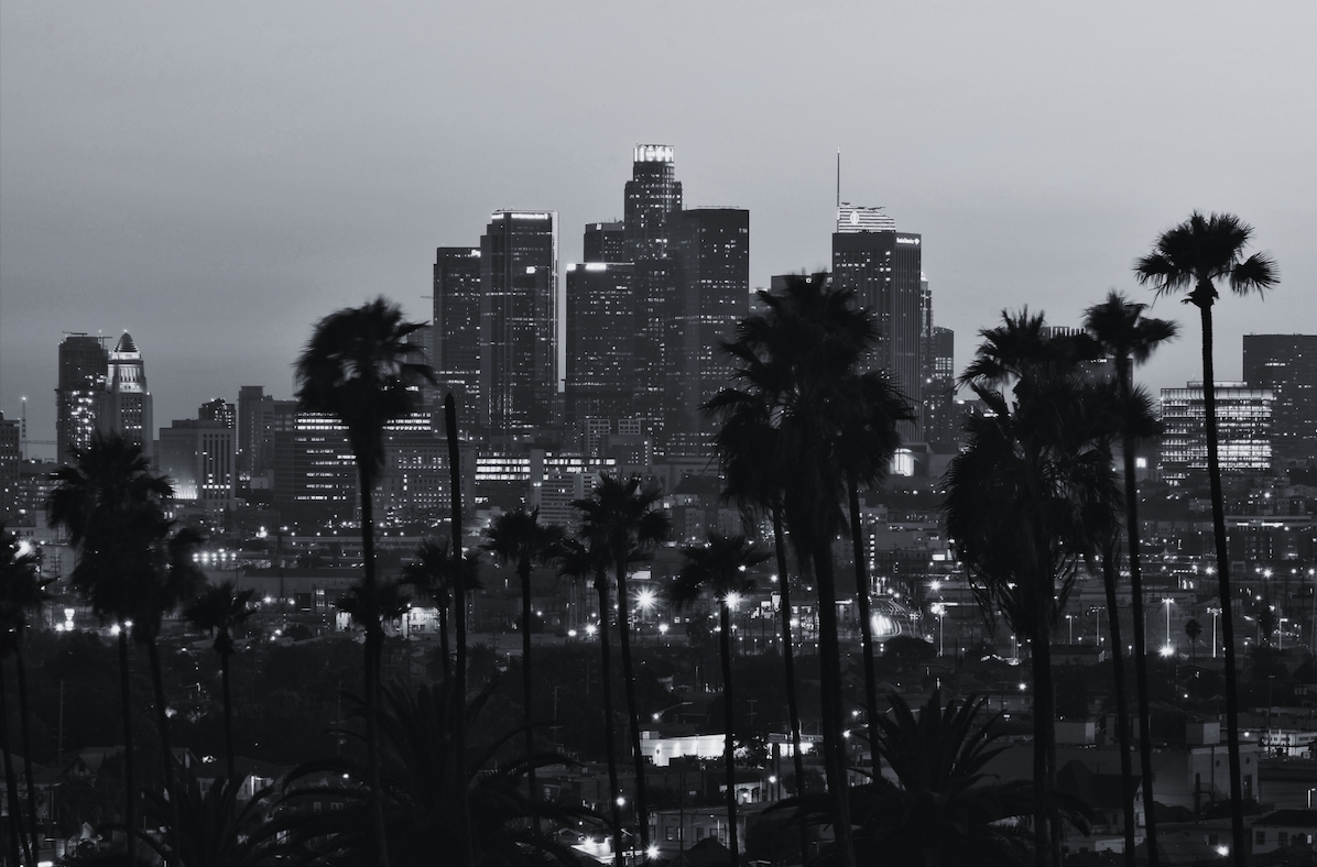 Palm trees silhouetted against a nighttime Los Angeles skyline.